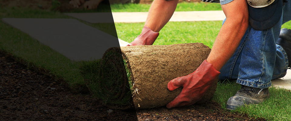 Chelsea Landscapers
